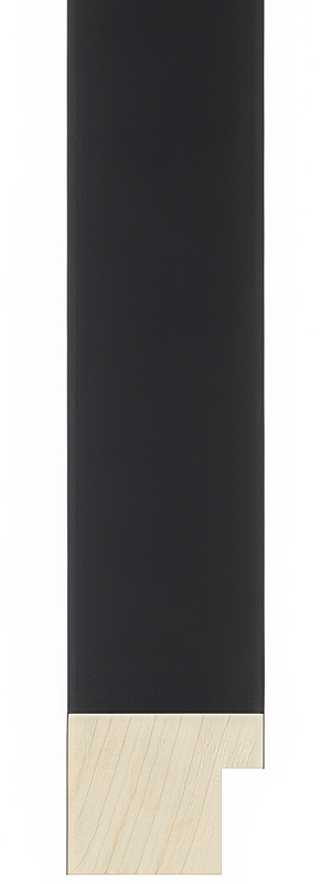 141-29 Custom Frame Print