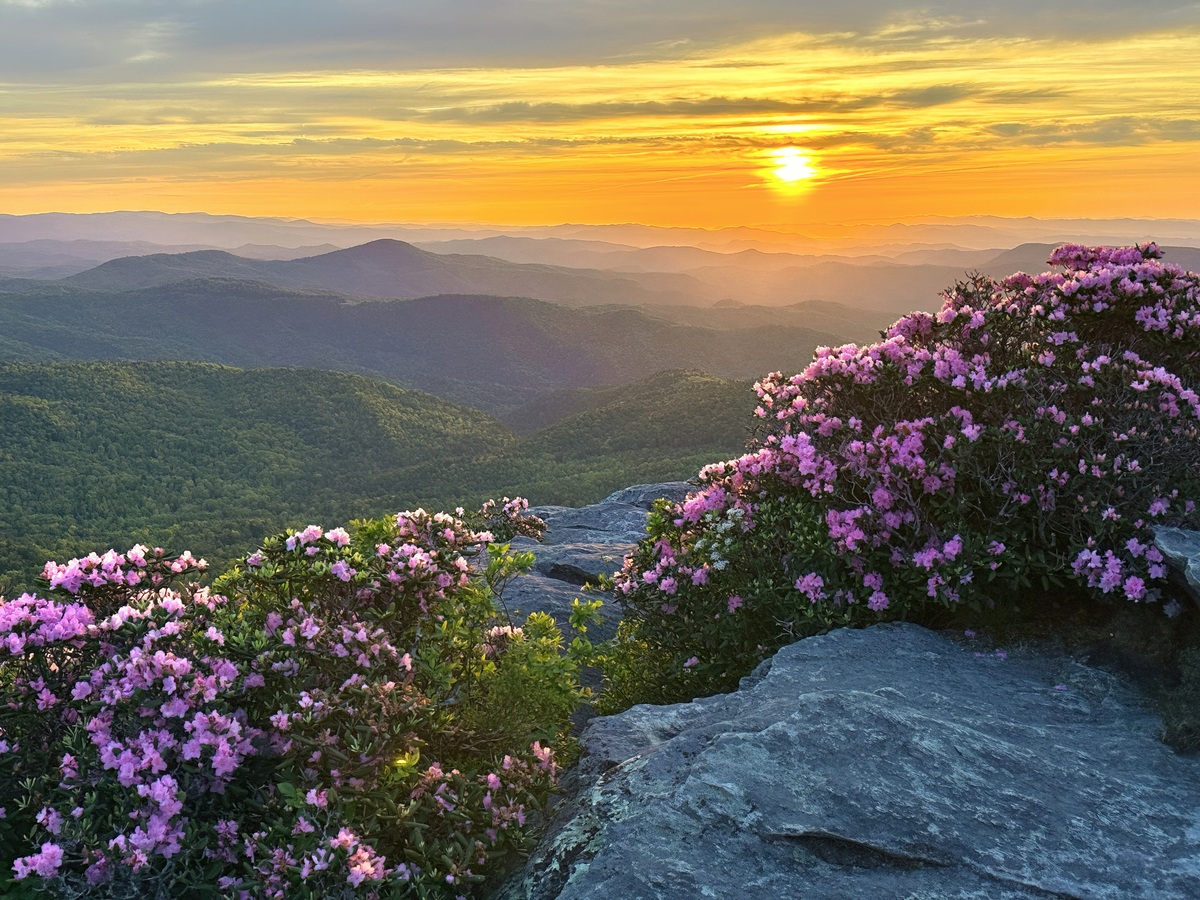 Impression de cadre personnalisé