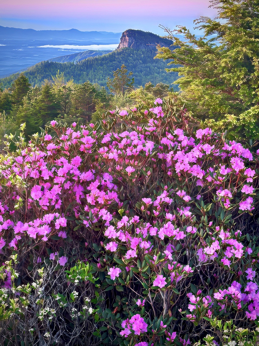 Impression de cadre personnalisé