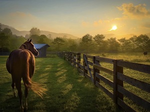 Stillness over  Banner Elk