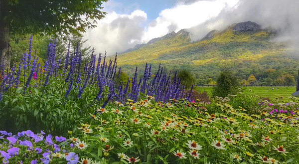 Springtime at Grandfather Mountain  Print