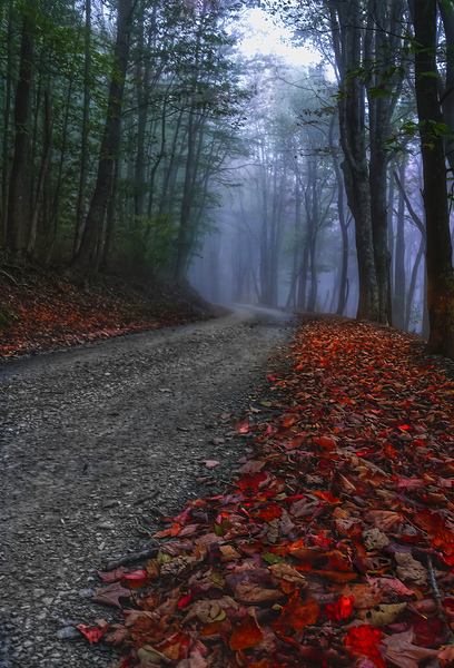 A Road Less Traveled Print