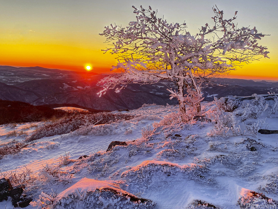 Frozen Silence  Print