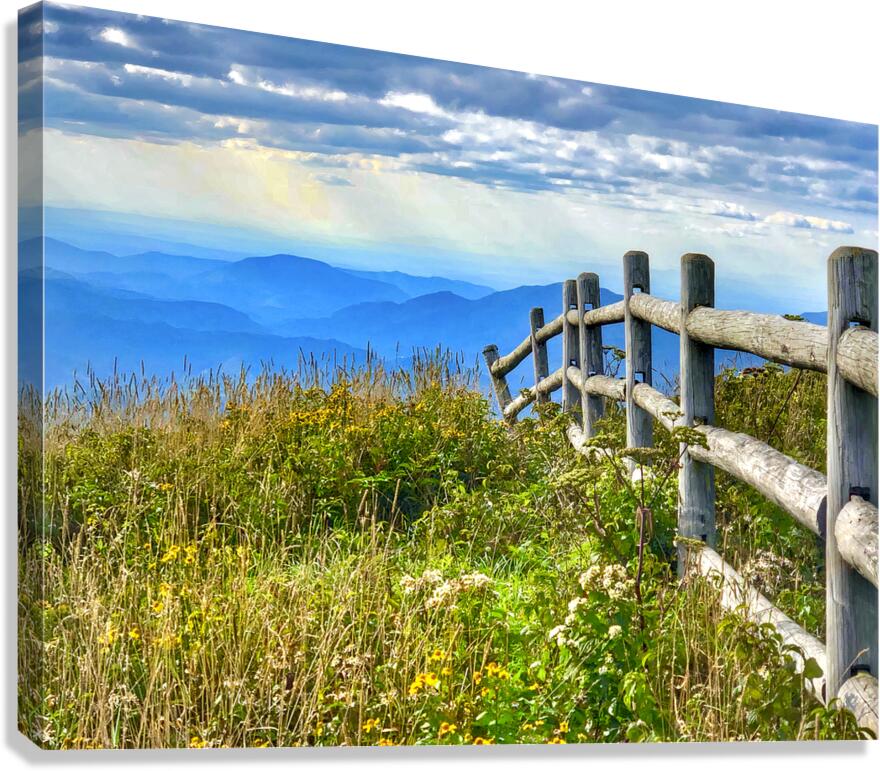 Wandering The Blue Ridge Canvas Print
