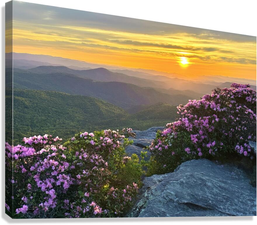 Sunrise over Linville Wilderness Canvas Print