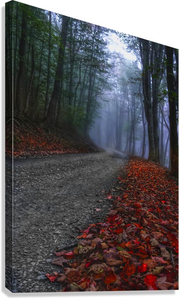 A Road Less Traveled Canvas Print