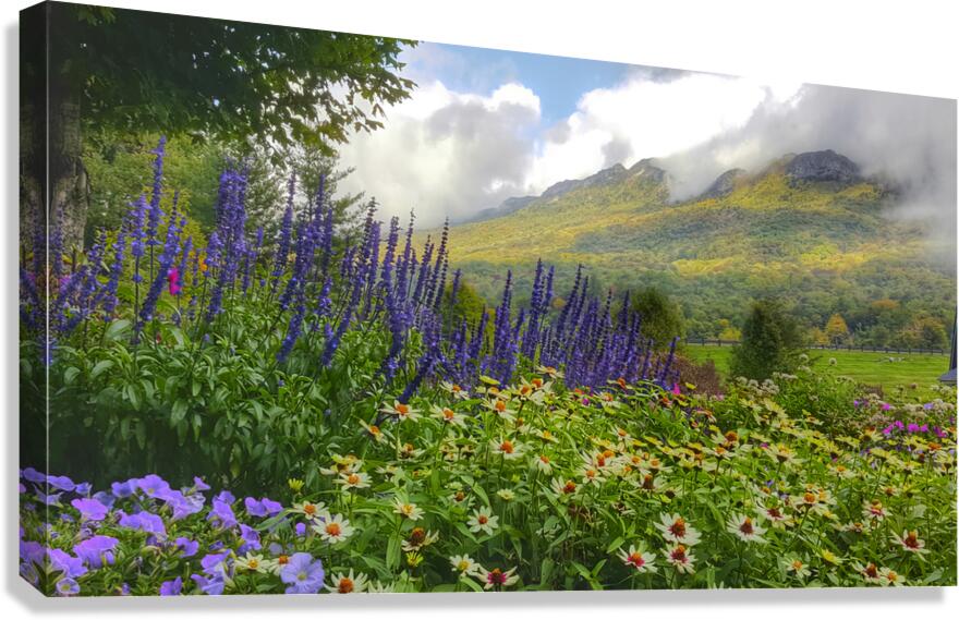 Springtime at Grandfather Mountain  Canvas Print