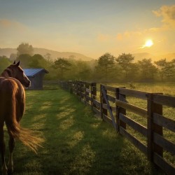 Stillness over  Banner Elk