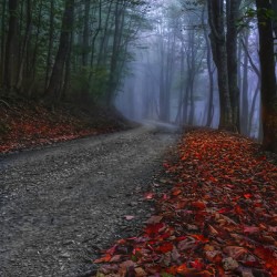 A Road Less Traveled