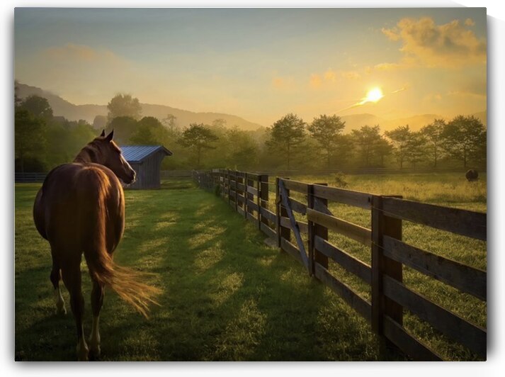 Stillness over  Banner Elk by Joseph Nitti