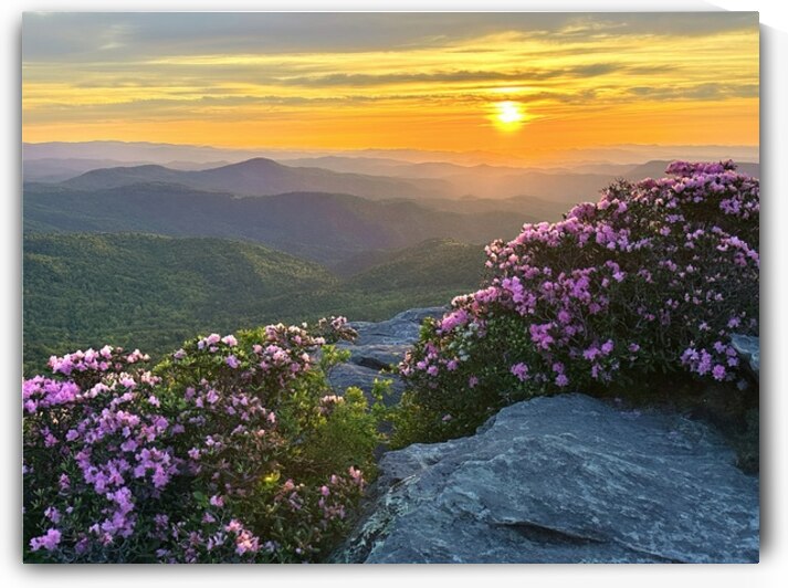 Sunrise over Linville Wilderness by Joseph Nitti