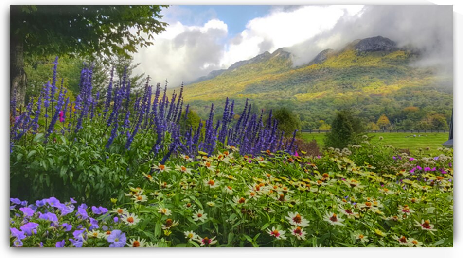 Springtime at Grandfather Mountain  by Joseph Nitti