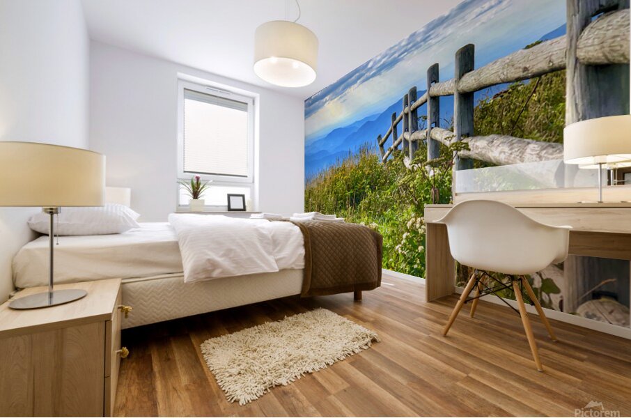 Wandering The Blue Ridge Mural print