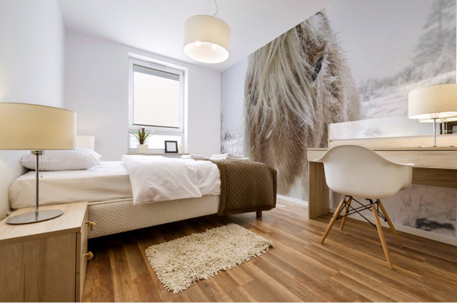 Wild Pony of Grayson Highlands Mural print