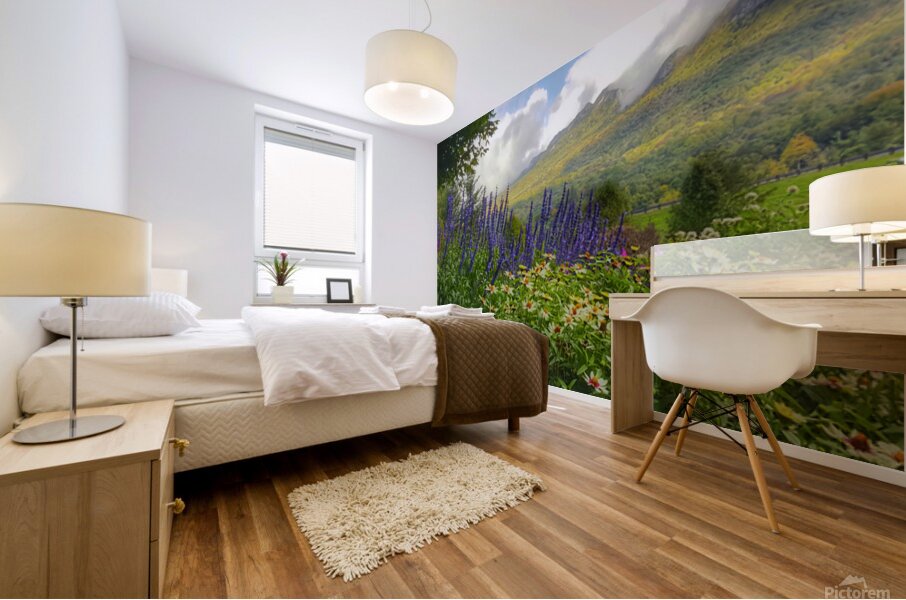 Springtime at Grandfather Mountain  Mural print