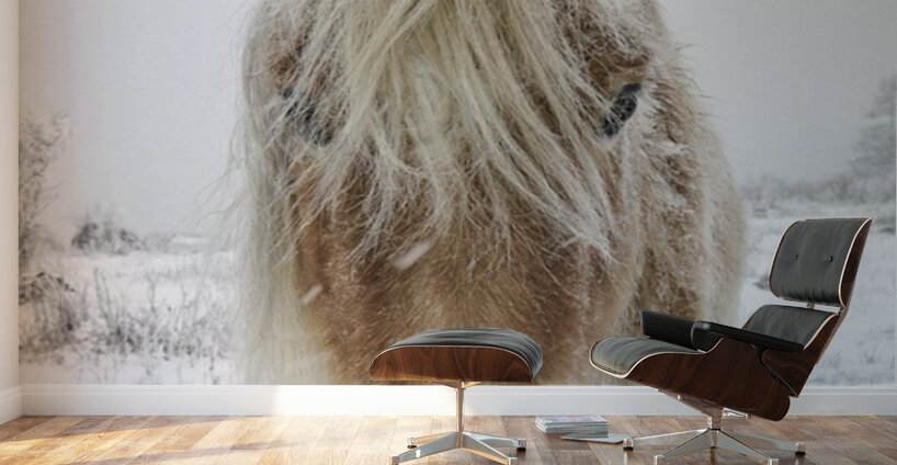 Wild Pony of Grayson Highlands Wall Murals