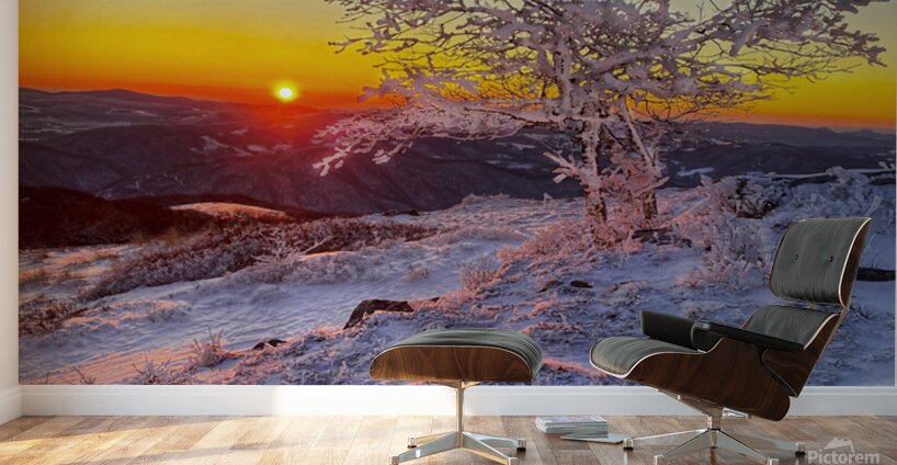 Frozen Silence Wall Murals