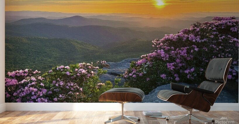 Sunrise over Linville Wilderness Wall Murals