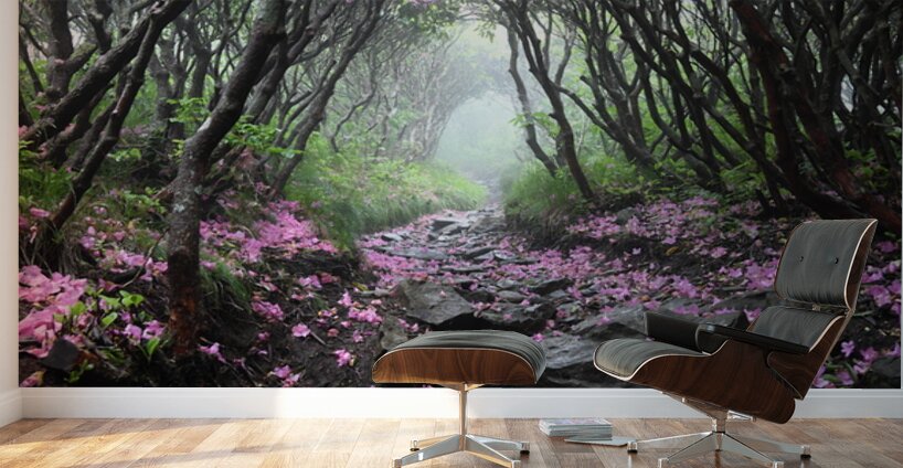 On My Way Home Wall Murals