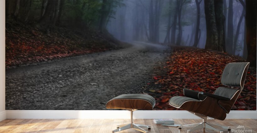 A Road Less Traveled Wall Murals