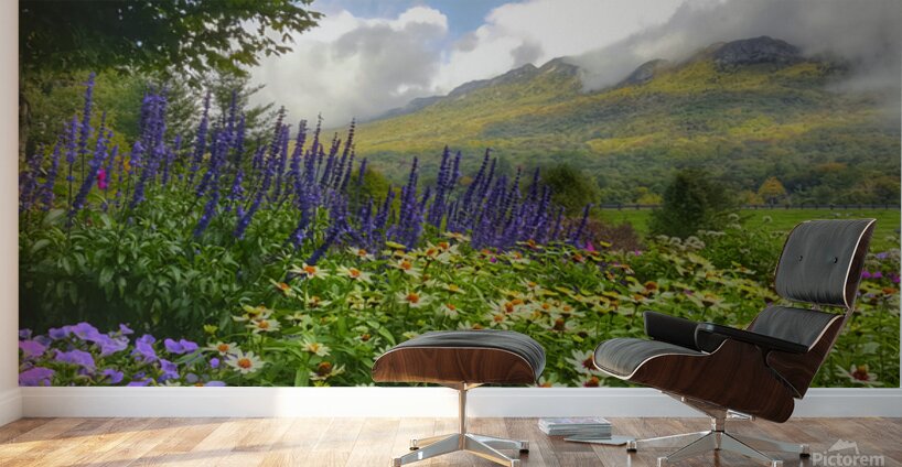 Springtime at Grandfather Mountain  Wall Murals