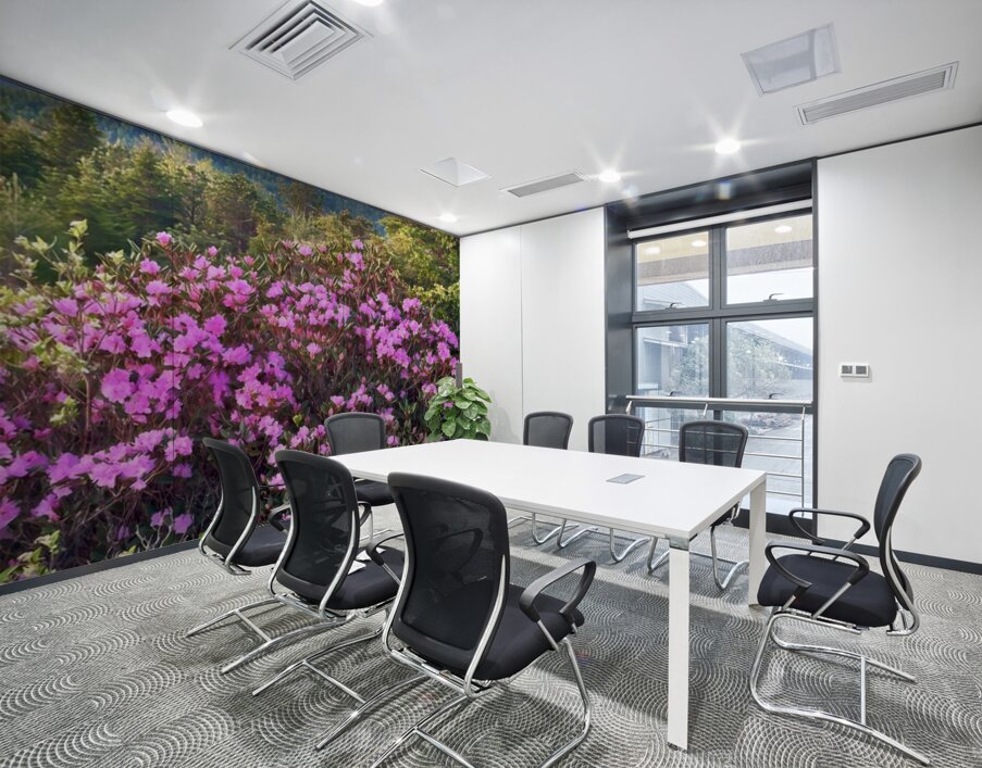 Magical Morning  Wall Printing