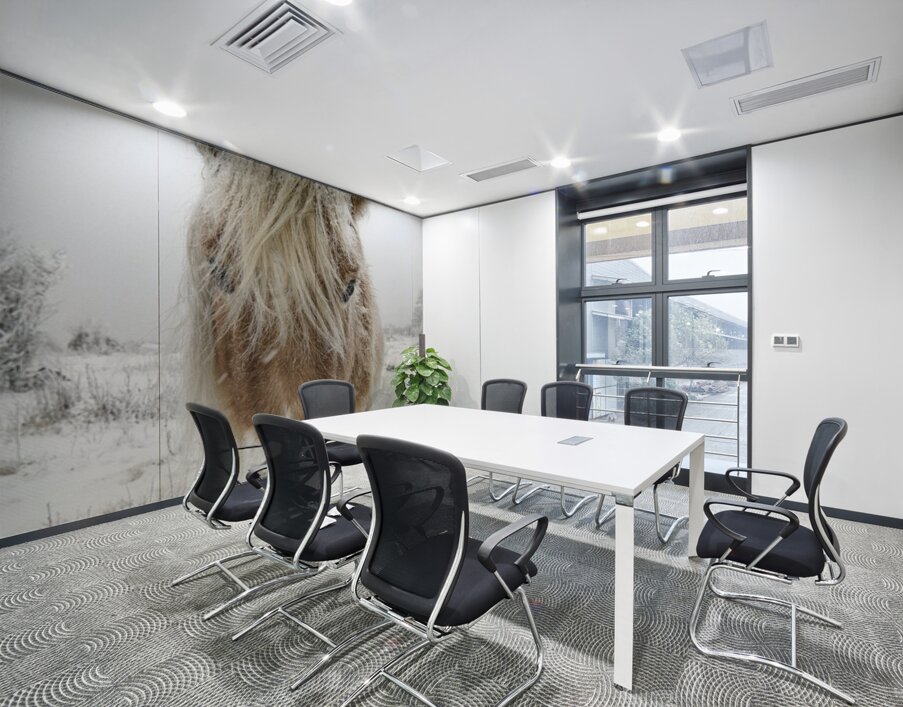 Wild Pony of Grayson Highlands Wall Printing