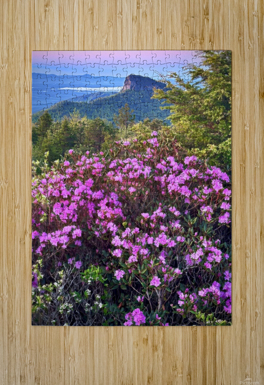 Magical Morning  Joseph Nitti Puzzle printing