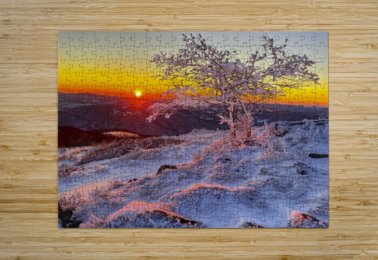 Frozen Silence Joseph Nitti Puzzle printing