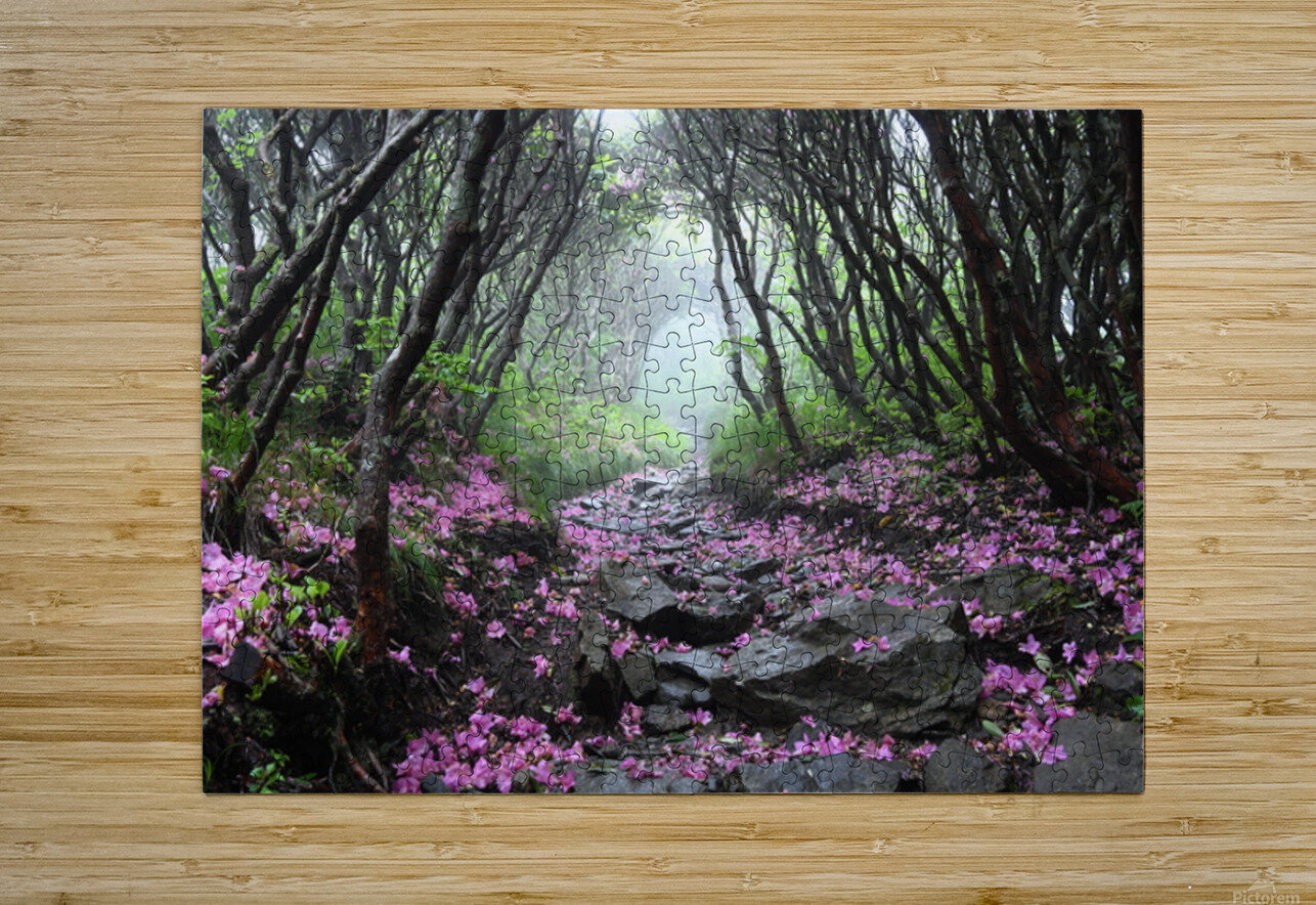 On My Way Home Joseph Nitti Puzzle printing