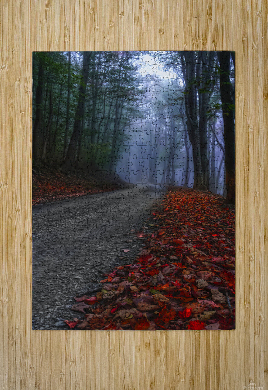 A Road Less Traveled Joseph Nitti Puzzle printing