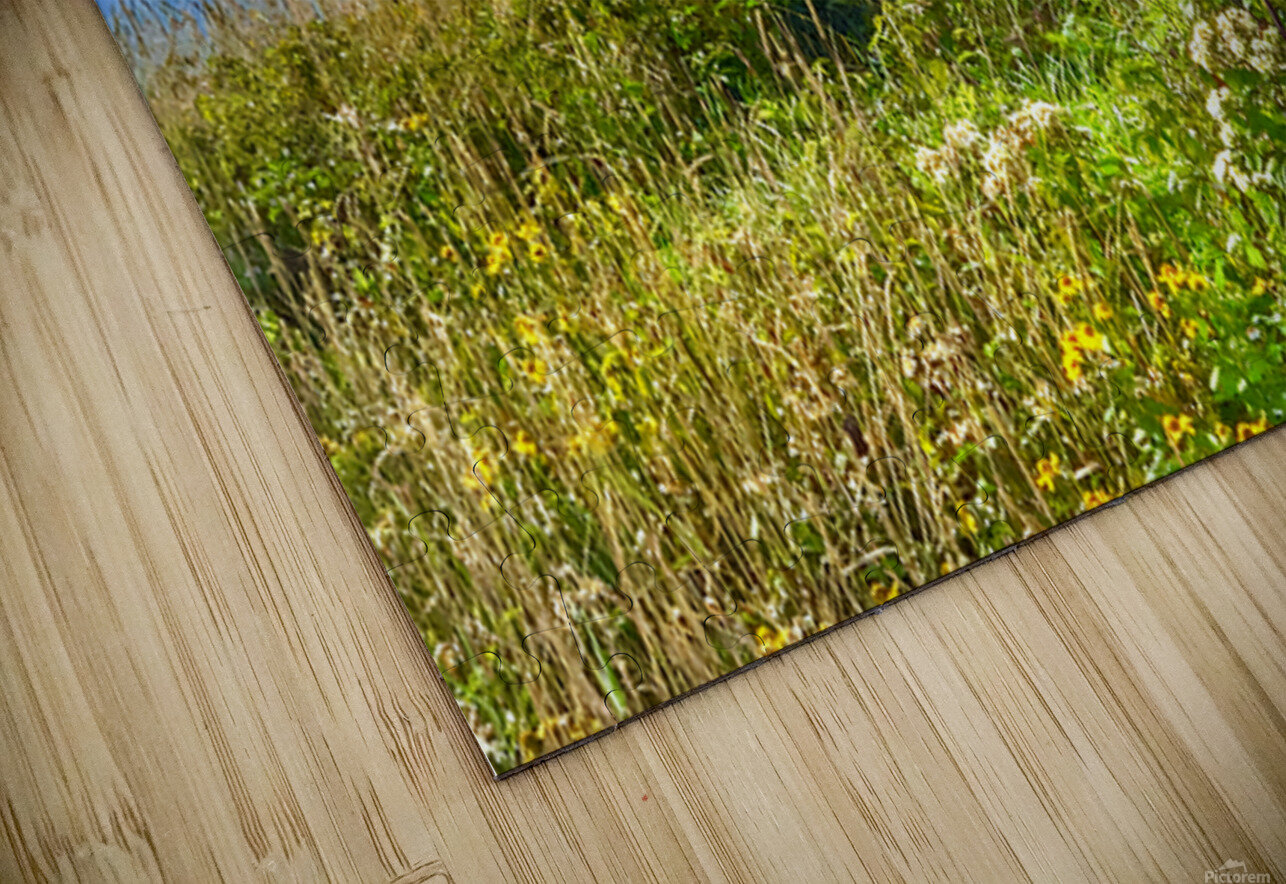 Wandering The Blue Ridge Joseph Nitti Puzzle