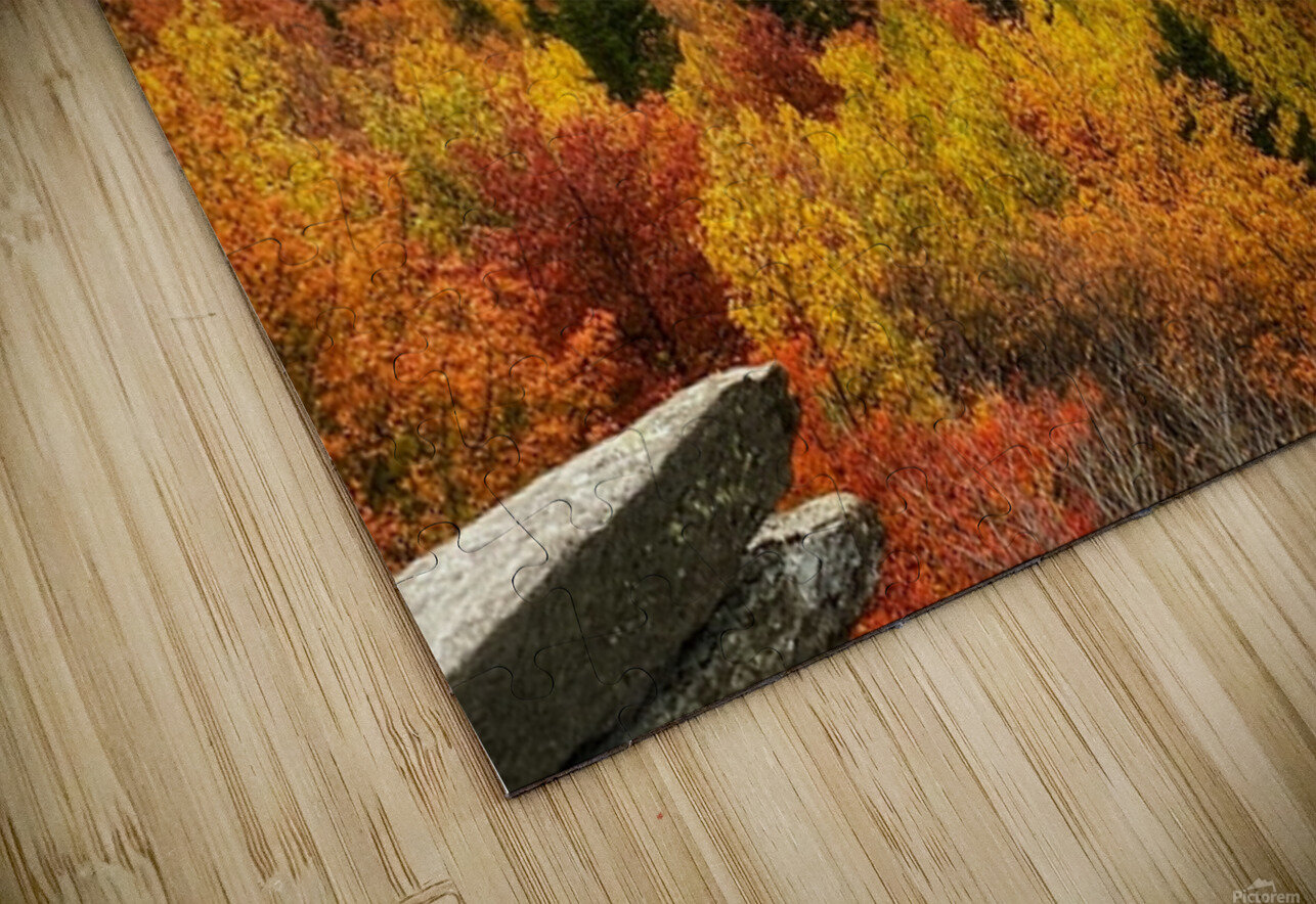 Fall Colors on The Blue Ridge Parkway Joseph Nitti Puzzle