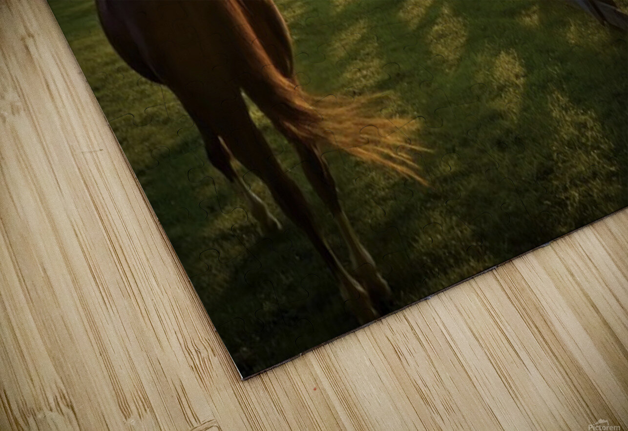 Stillness over  Banner Elk Joseph Nitti Puzzle