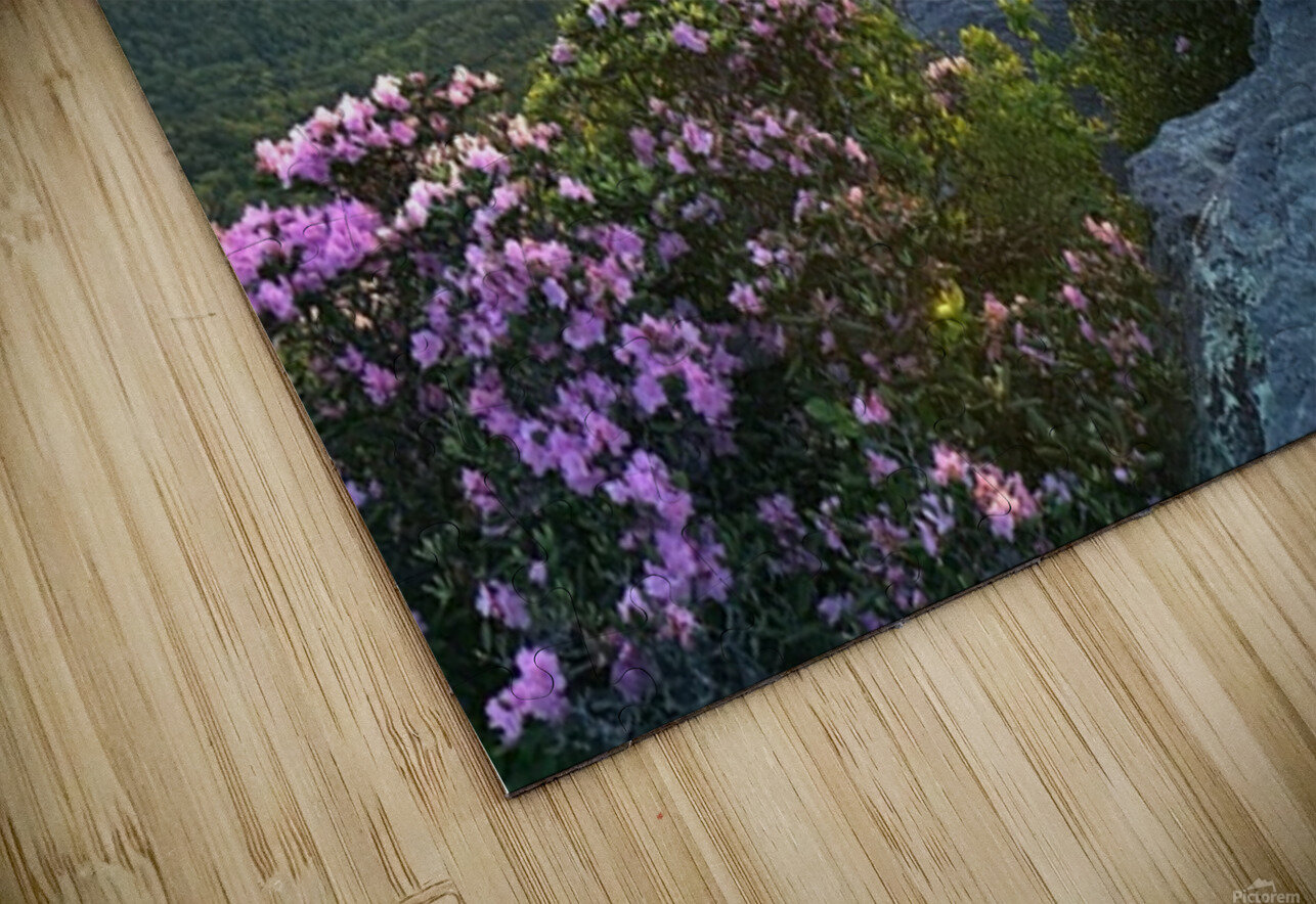 Sunrise over Linville Wilderness Joseph Nitti Puzzle