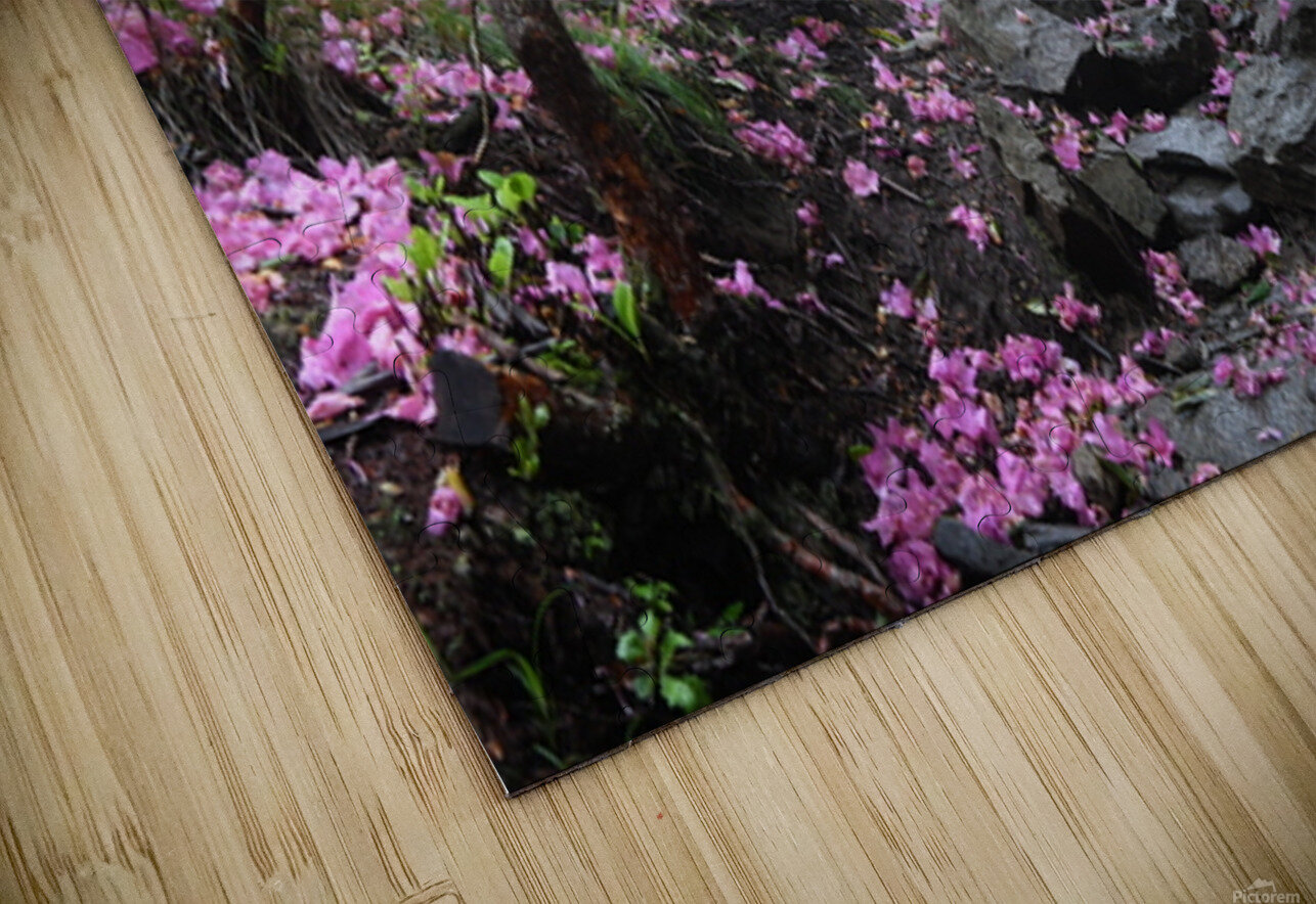 On My Way Home Joseph Nitti Puzzle