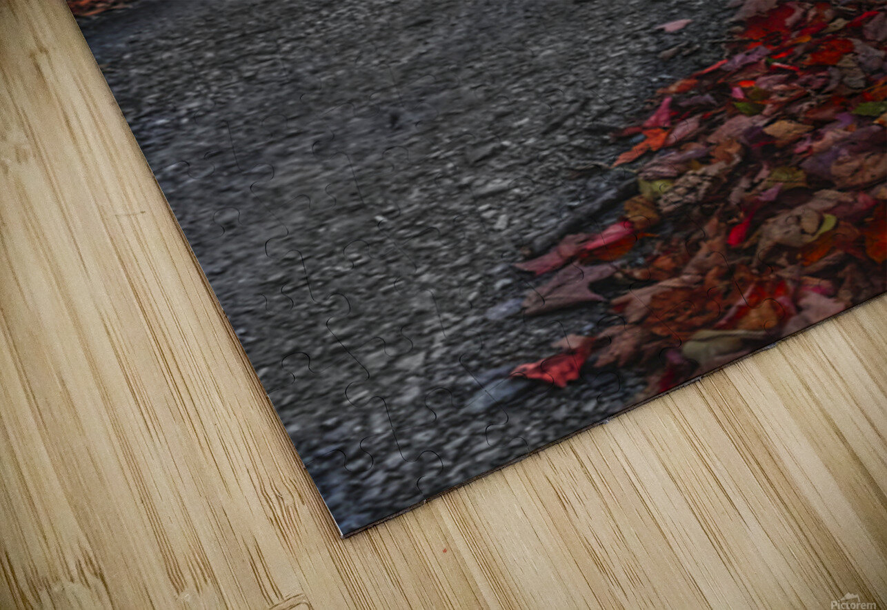 A Road Less Traveled Joseph Nitti Puzzle