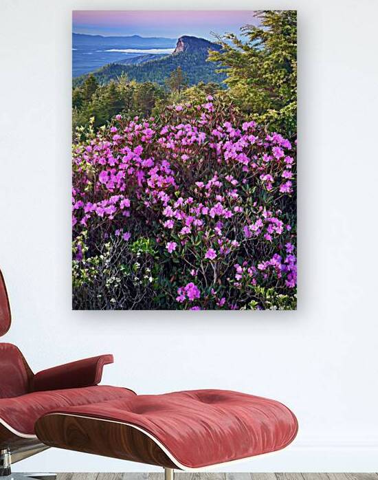 Magical Morning  by Joseph Nitti