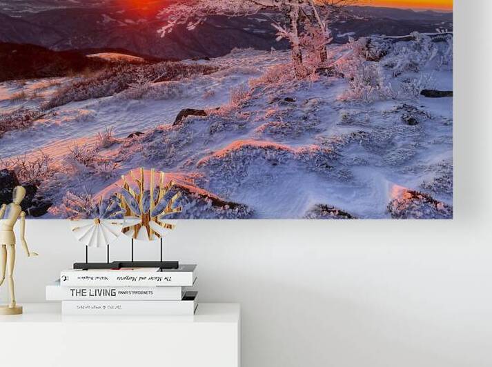 Frozen Silence by Joseph Nitti