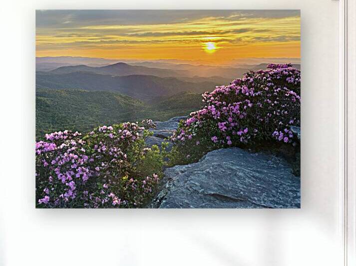 Sunrise over Linville Wilderness by Joseph Nitti