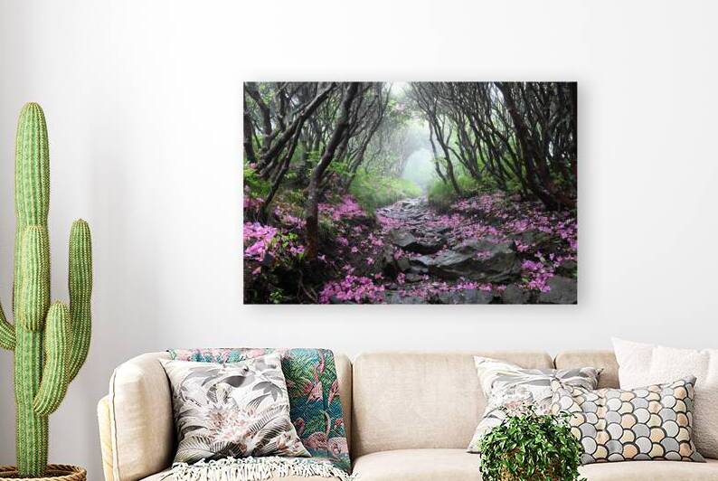 On My Way Home by Joseph Nitti