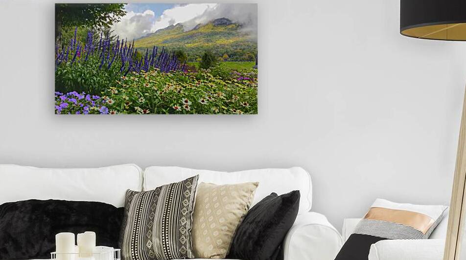 Springtime at Grandfather Mountain  by Joseph Nitti